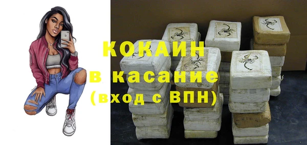 шишки Пестово