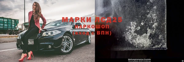шишки Пересвет