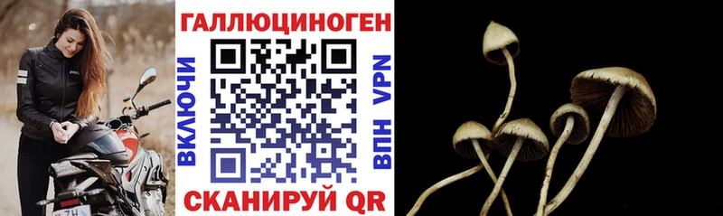 Псилоцибиновые грибы Psilocybe  Баймак 